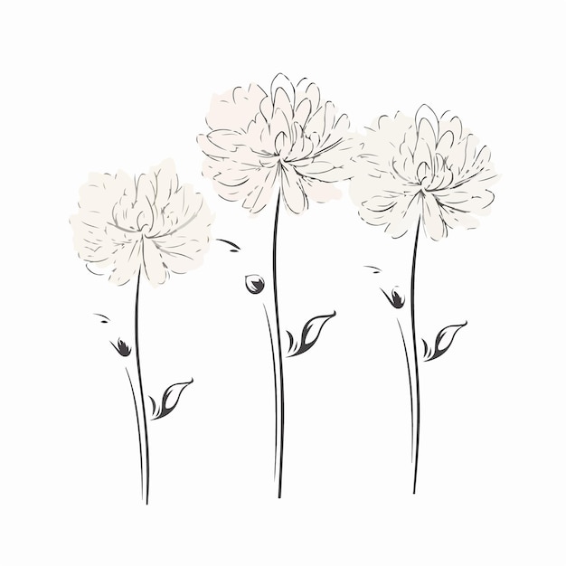 Ilustración vectorial detallada de una elegante flor de dalia