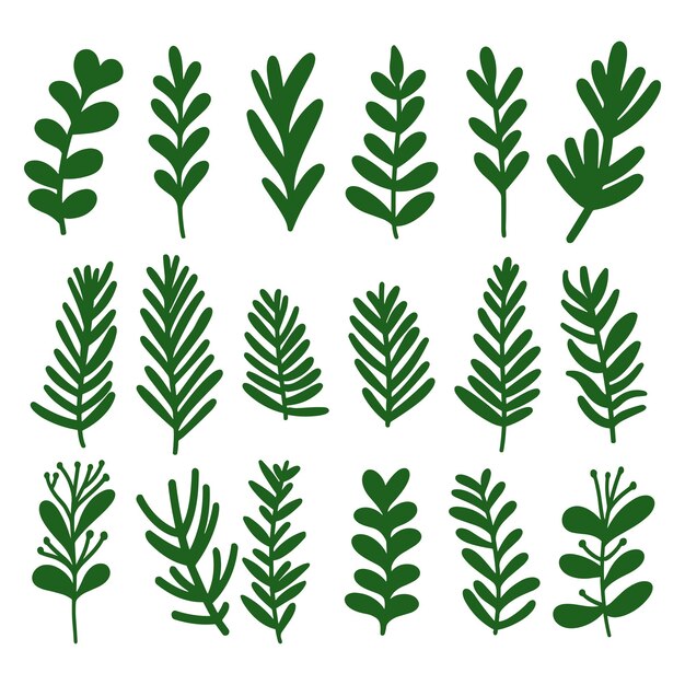 Ilustración vectorial dibujada a mano de 18 hojas verdes