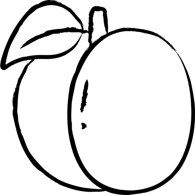 Ilustración vectorial dibujada a mano por albaricoque