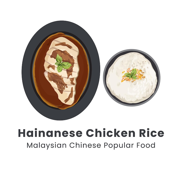 Vector ilustración vectorial dibujada a mano de arroz de pollo de hainan o arroz al vapor con sopa de pollo