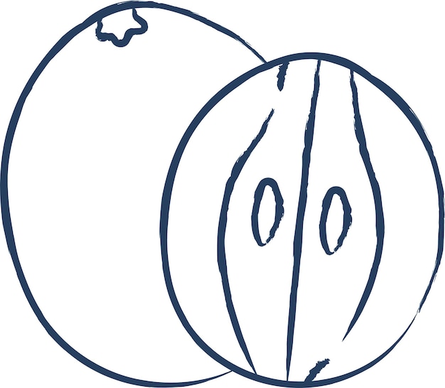Ilustración vectorial dibujada a mano de Chico