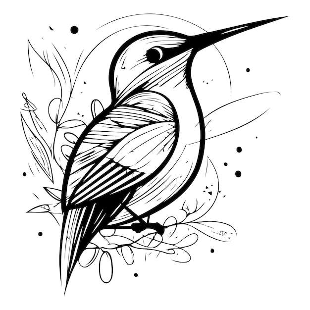 Ilustración vectorial dibujada a mano de un colibrí sobre un fondo floral
