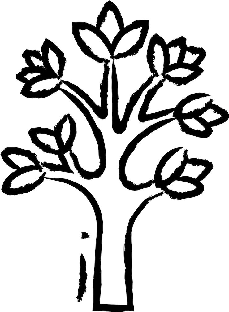 Vector ilustración vectorial dibujada a mano de dracaena draco