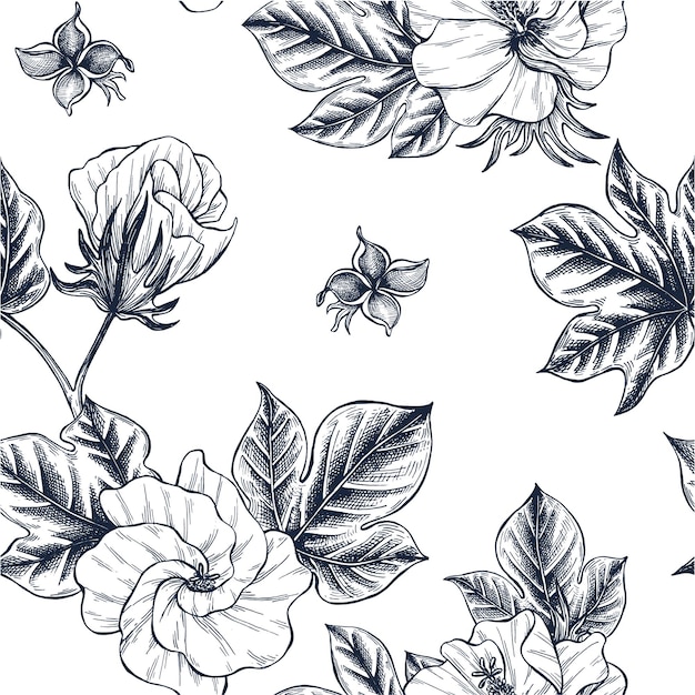 Ilustración vectorial dibujada a mano de la flor del algodón dibujo de marco grabado