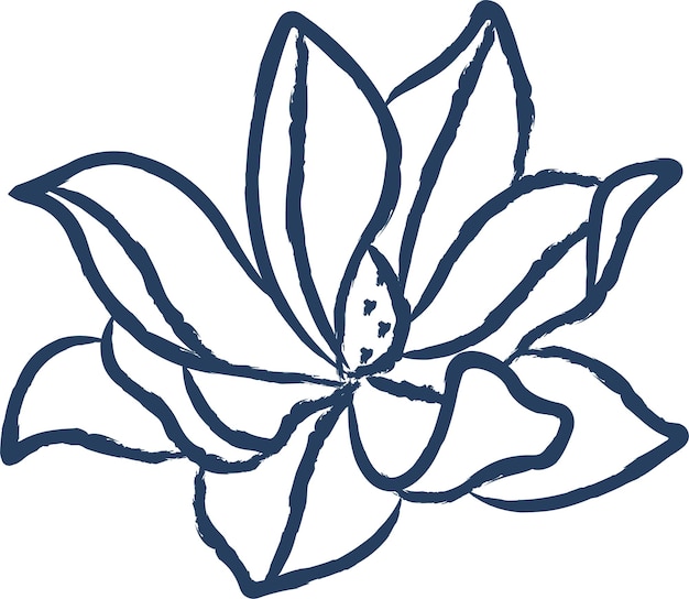 Ilustración vectorial dibujada a mano de la flor de magnolia