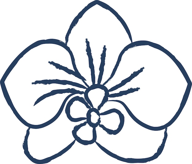 Ilustración vectorial dibujada a mano de la flor de la orquídea