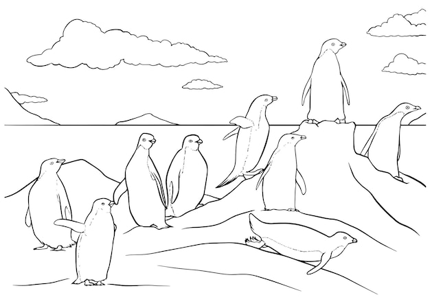Ilustración vectorial dibujada a mano de un grupo de pingüinos para colorear