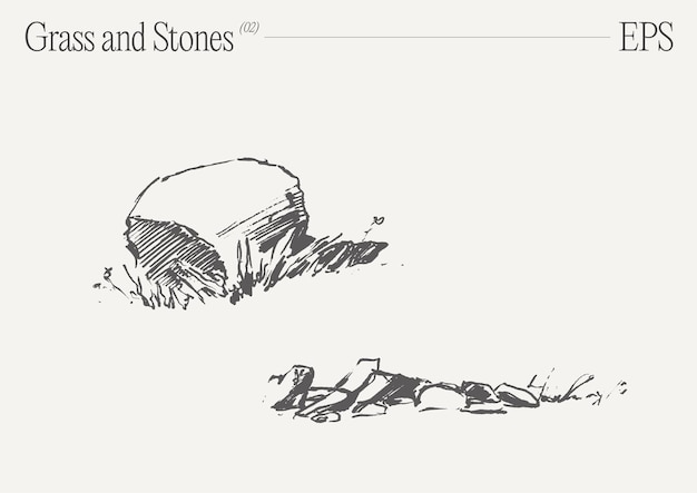 Ilustración vectorial dibujada a mano de hierba y rocas en un fondo en blanco boceto aislado