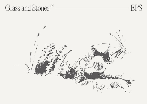 Ilustración vectorial dibujada a mano de hierba y rocas en un fondo en blanco boceto aislado
