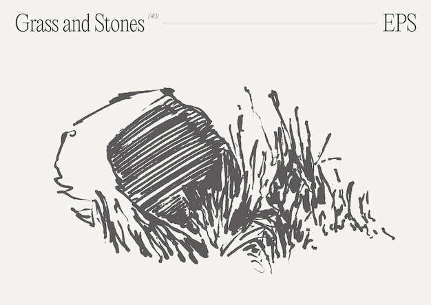 Ilustración vectorial dibujada a mano de hierba y rocas en un fondo en blanco boceto aislado