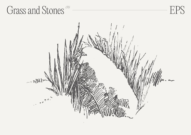 Ilustración vectorial dibujada a mano de hierba y rocas en un fondo en blanco boceto aislado