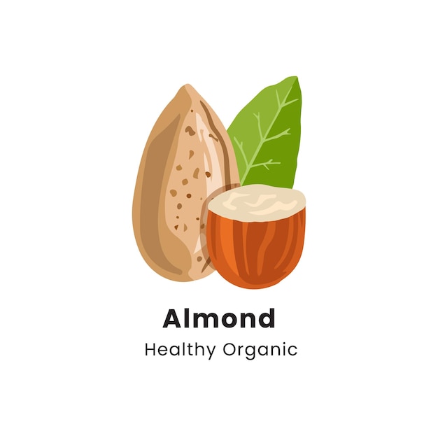 Ilustración vectorial dibujada a mano de las nueces de almendra