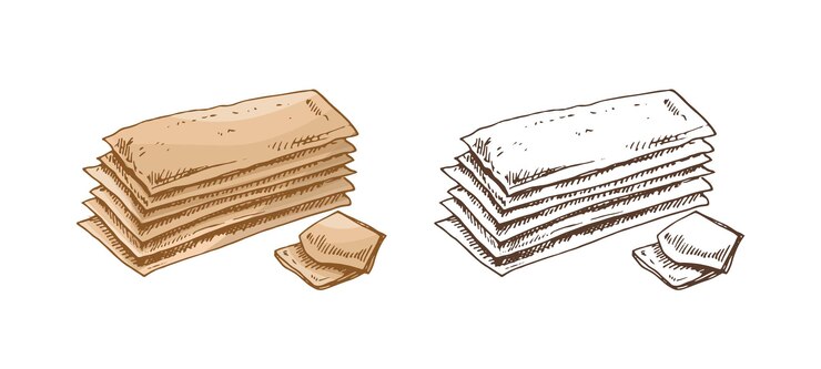 Vector ilustración vectorial dibujada a mano de pan crujiente dibujo de pastelería marrón y blanco aislado