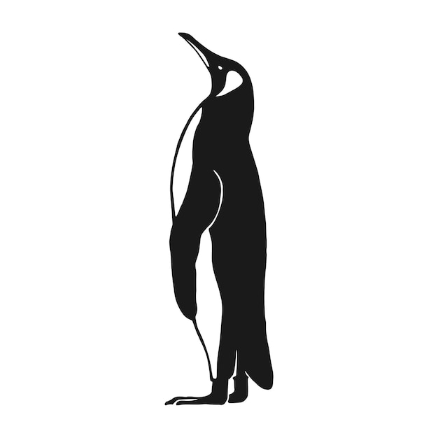 Ilustración vectorial dibujada a mano por el pingüino sobre un fondo blanco