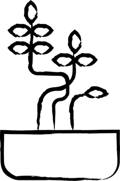 Ilustración vectorial dibujada a mano de la planta Sophora Little Baby