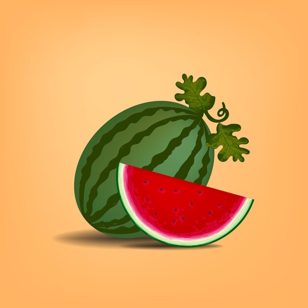 Ilustración vectorial dibujada a mano de una rebanada de sandía Elemento concepto de diseño de frutas lindas