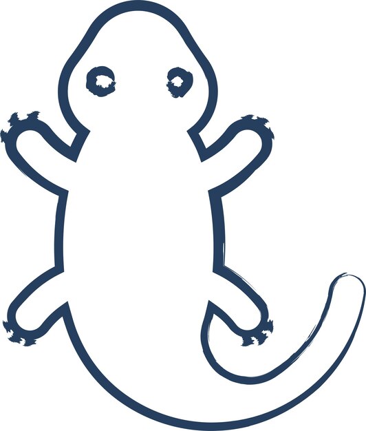 Ilustración vectorial dibujada a mano de la salamandra
