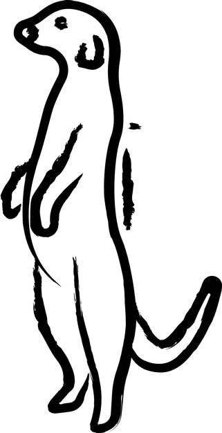 Ilustración vectorial dibujada a mano por la suricata