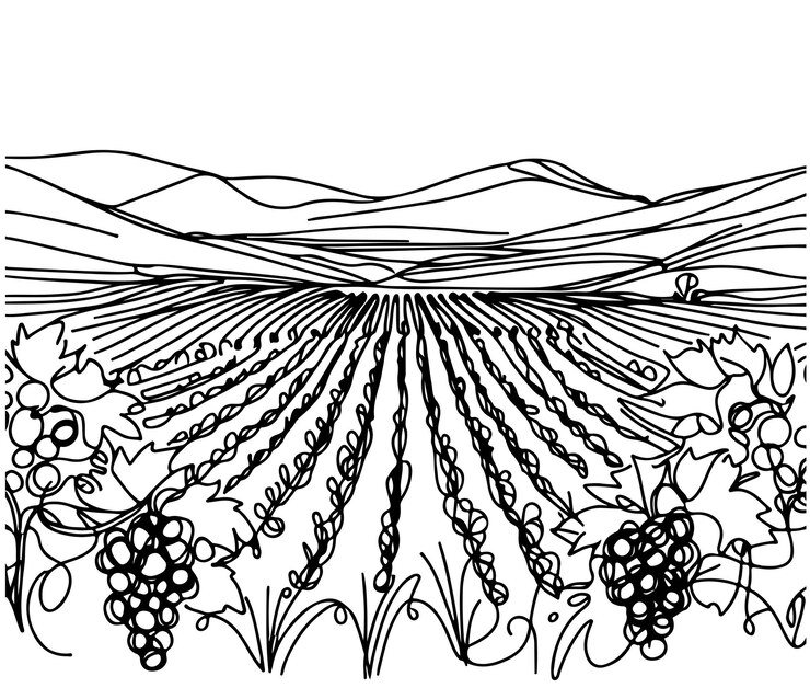 Vector ilustración vectorial dibujada a mano de tierras de cultivo linear de campos de uvas simples