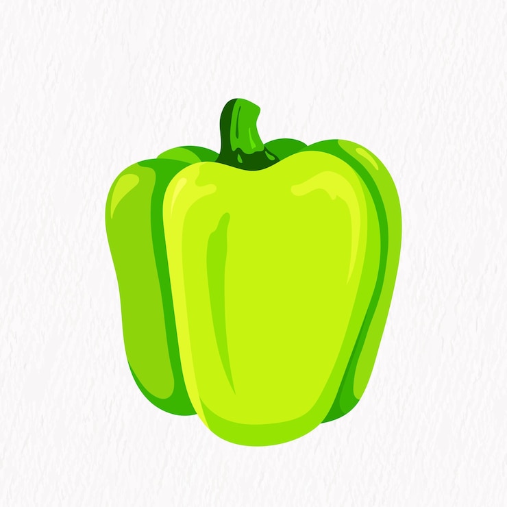 Vector ilustración vectorial dibujada a mano vegetal capsicum fresco. diseño de receta de ensalada vegetariana.