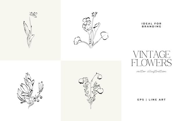 Ilustración vectorial de dibujo de bocetos dibujados a mano de flores de plantas botánicas mínimas