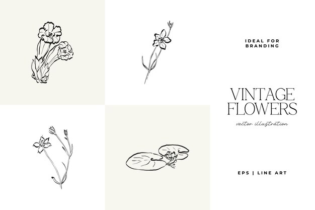 Ilustración vectorial de dibujo de bocetos dibujados a mano de flores de plantas botánicas mínimas