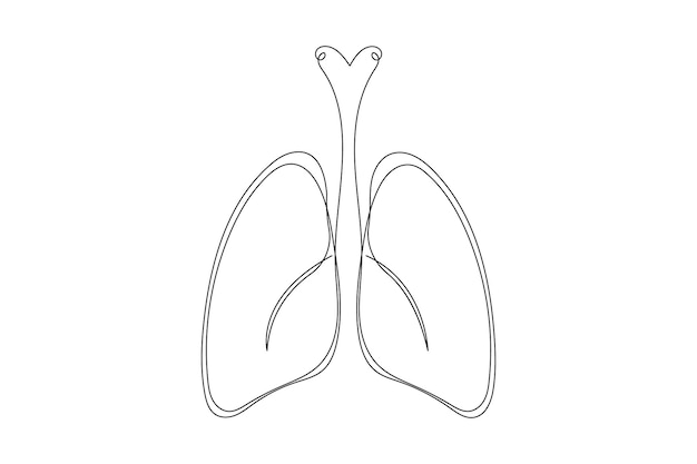 Ilustración vectorial de dibujo de una línea continua de pulmones humanos anatómicos Ana interna médica dinámica