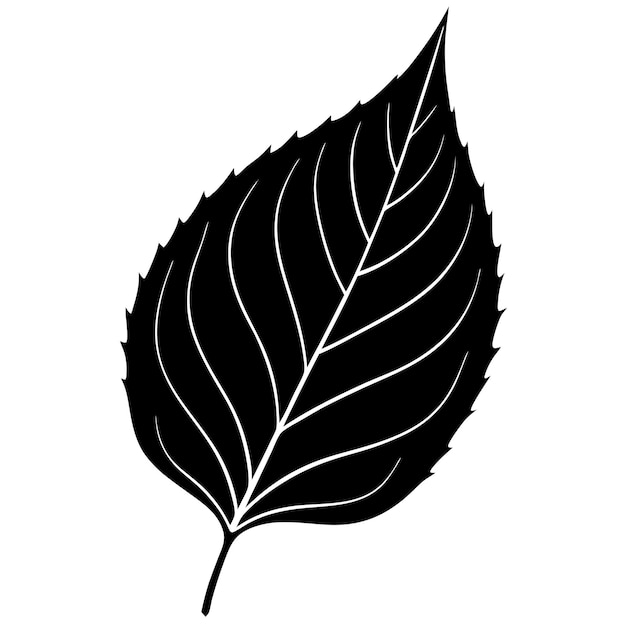 Ilustración vectorial de dibujo de línea de silueta de hoja elegante con diseño minimalista perfecta para botánica