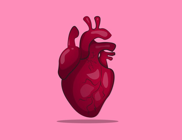 Ilustración vectorial del dibujo a mano del corazón