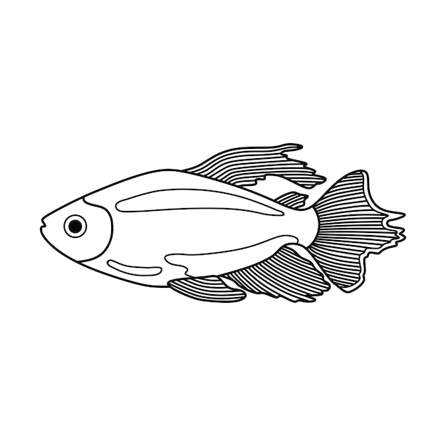 Ilustración vectorial de dibujos animados dibujada a mano icono de pez congo tetra aislado en fondo blanco