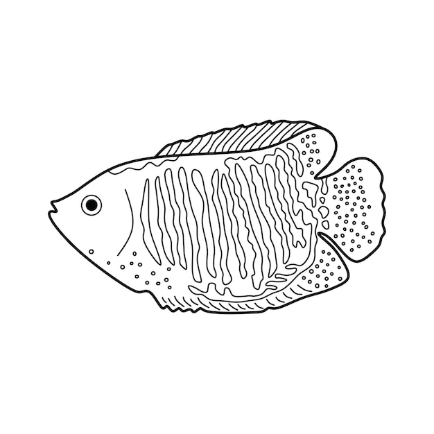 Vector ilustración vectorial de dibujos animados dibujada a mano icono de pez enano gourami aislado en fondo blanco