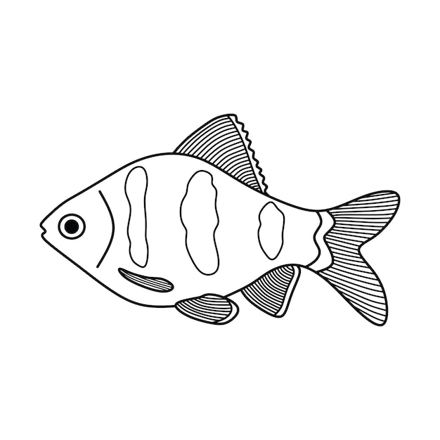 Ilustración vectorial de dibujos animados dibujada a mano icono de pez rubí negro aislado en fondo blanco