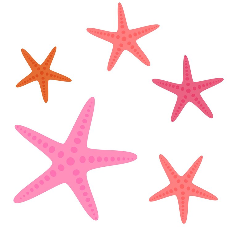 Vector ilustración vectorial de dibujos animados de estrellas de mar aisladas en fondo blanco