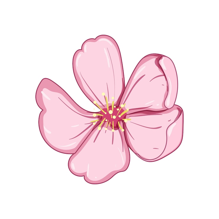 Vector ilustración vectorial de dibujos animados de la flor del cerezo sakura de la naturaleza