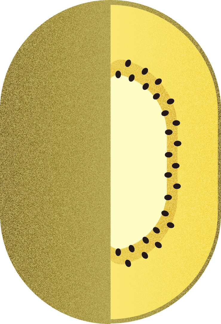 Vector ilustración vectorial de dibujos animados de kiwis dorados objeto aislado