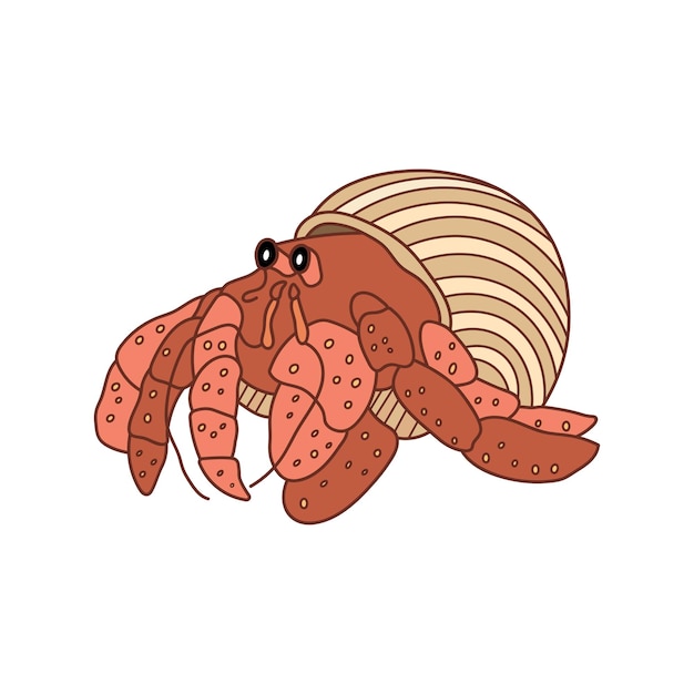 Ilustración vectorial de dibujos animados lindo icono de cangrejo ermitaño aislado sobre fondo blanco