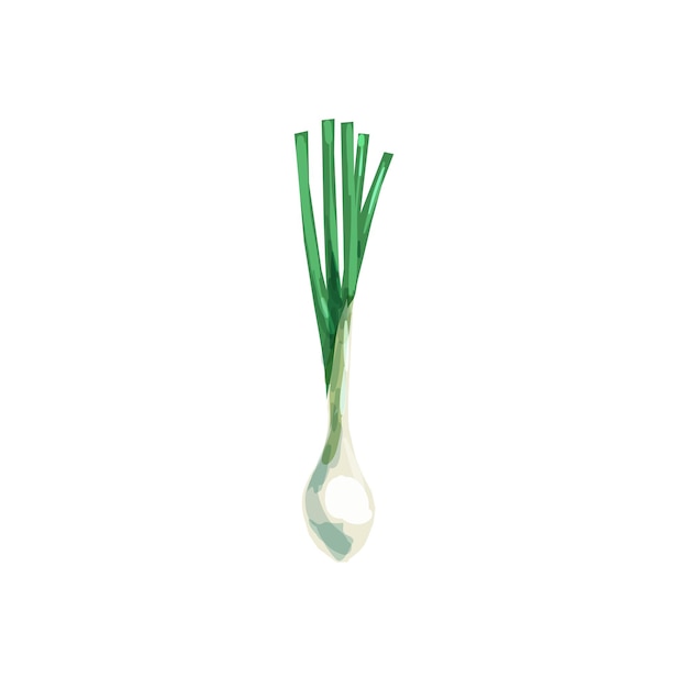 Ilustración vectorial de dibujos animados de porro objeto aislado fondo blanco