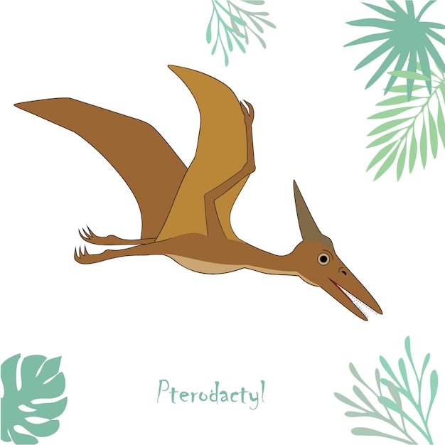 Ilustración vectorial del dinosaurio pterodáctilo aislado sobre fondo blanco