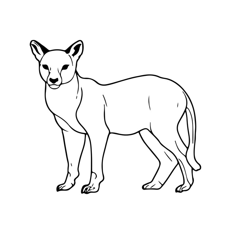 Vector ilustración vectorial diseño del contorno del animal