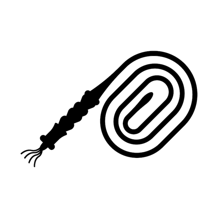 Vector ilustración vectorial del diseño del logotipo del icono del símbolo del látigo
