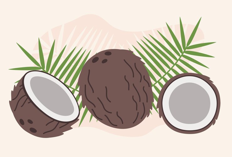 Vector ilustración vectorial de diseño plano de coco conjunto de iconos de coco en estilo simple