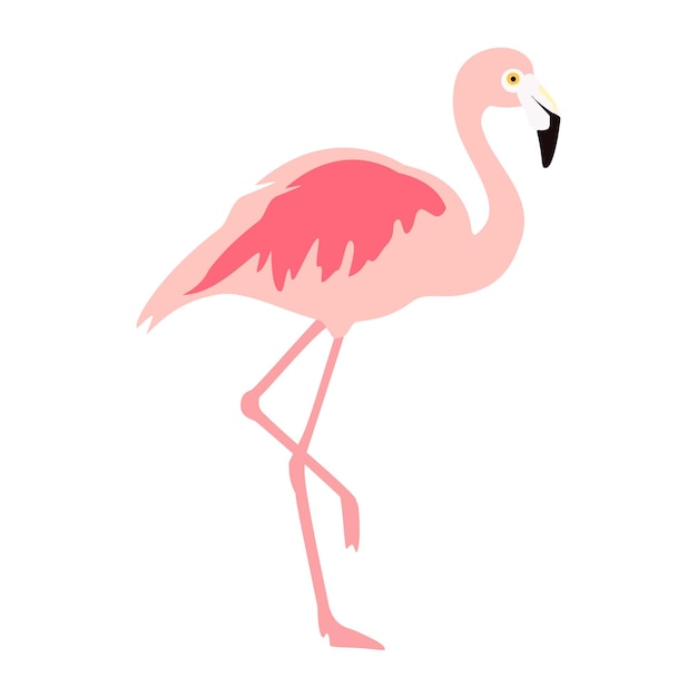 Ilustración vectorial de dos flamencos rosados aislados sobre un fondo blanco