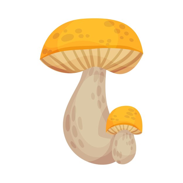Ilustración vectorial de dos hongos grandes sobre un fondo blanco
