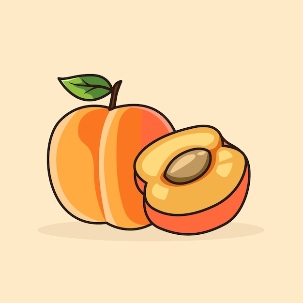 Ilustración vectorial de dos pares de frutos de albaricoque