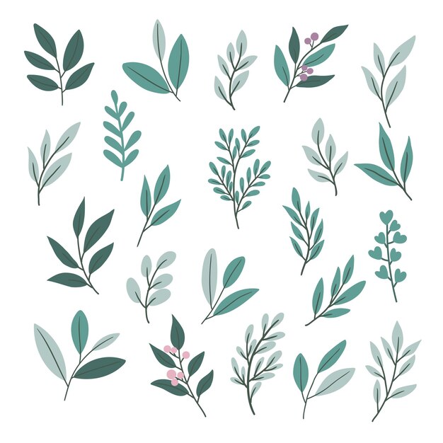 Ilustración vectorial elegante con hermosas ramas y hojas Ideal para tarjetas de vacaciones invitaciones y