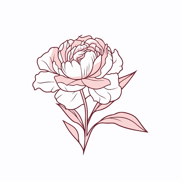 Ilustración vectorial elegante de una peonía cautivadora