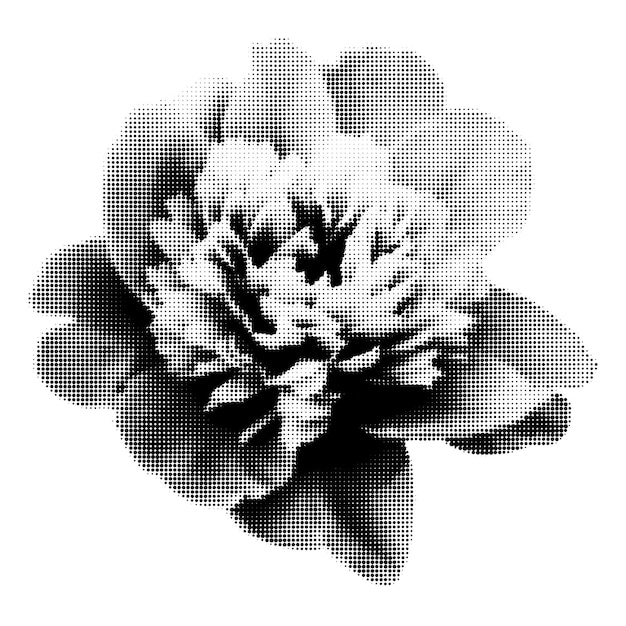 Ilustración vectorial del elemento de collage de la flor de la peonía