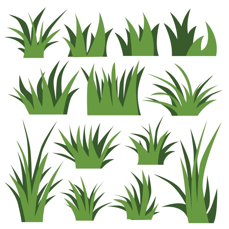 Vector ilustración vectorial de los elementos del conjunto de hierba