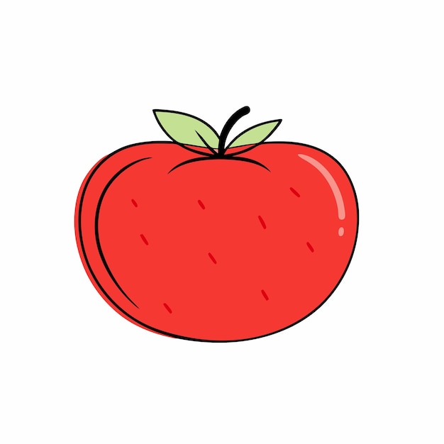 Ilustración vectorial para el embalaje en un fondo blanco aislado 16