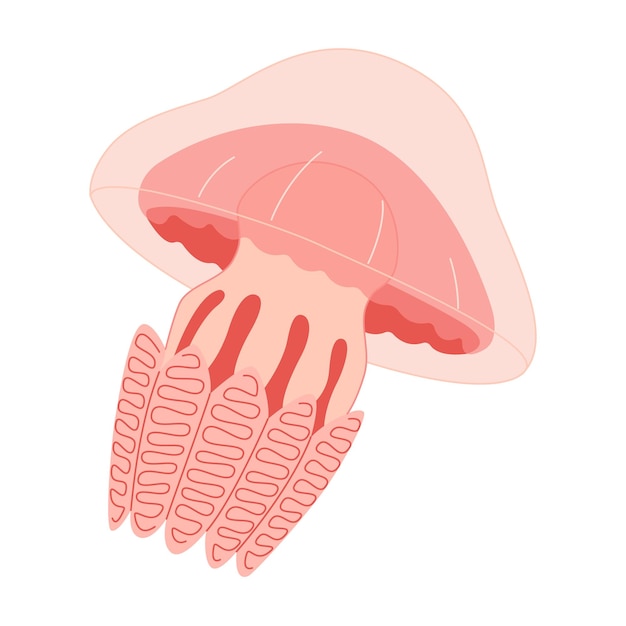 Ilustración vectorial de estilo plano de moda de medusa rosada de dibujos animados